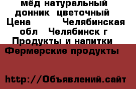 мёд натуральный lдонник, цветочный › Цена ­ 400 - Челябинская обл., Челябинск г. Продукты и напитки » Фермерские продукты   